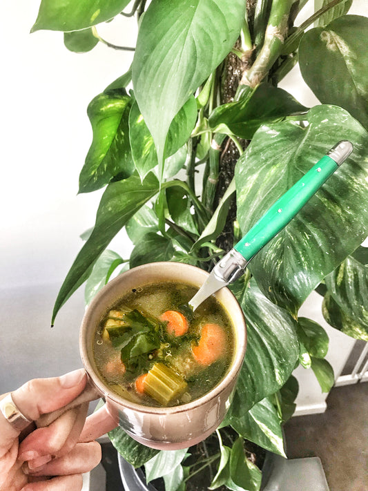 Hormone-healing, Flu-fighting veggie broth